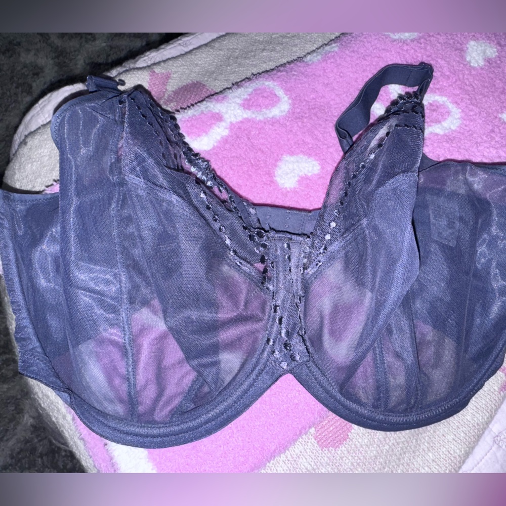 Elegant Sheer Lace Bra